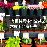 “有机共同体”公共艺术展于北京开幕(图1) “有机共同体”公共艺术展于北京开幕(图1)