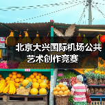 北京大兴国际机场公共艺术创作竞赛(图1) 北京大兴国际机场公共艺术创作竞赛(图1)