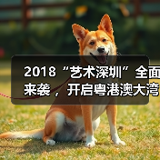 2018“艺术深圳”全面来袭 ,开启粤港澳大湾区艺术时代(图3) 2018“艺术深圳”全面来袭 ,开启粤港澳大湾区艺术时代(图3)