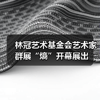 林冠艺术基金会艺术家群展“熵”开幕展出（图1）