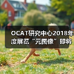 OCAT研究中心2018年度展览“元图像”即将开幕(图4) OCAT研究中心2018年度展览“元图像”即将开幕(图4)