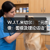 W.J.T.米切尔:“元图像:图像及理论话语”即将开讲(图2) W.J.T.米切尔:“元图像:图像及理论话语”即将开讲(图2)