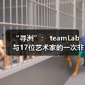 “寻洲”： teamLab与17位艺术家的一次非常规展示（图2）