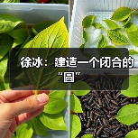 徐冰:建造一个闭合的“圆”(图4) 徐冰:建造一个闭合的“圆”(图4)