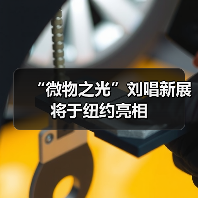 “微物之光”刘唱新展将于纽约亮相(图1) “微物之光”刘唱新展将于纽约亮相(图1)