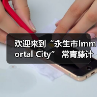 欢迎来到“永生市Immortal City” 常青藤计划2018重装亮相(图4) 欢迎来到“永生市Immortal City” 常青藤计划2018重装亮相(图4)