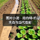 图片小说：肯内特•约瑟夫森与当代摄影（图3）