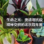 生命之光:奥运与抗疫精神交织的北京双年展(图4) 生命之光:奥运与抗疫精神交织的北京双年展(图4)