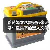 哈勒姆文艺复兴影像记录:镜头下的黑人文化记忆(图3) 哈勒姆文艺复兴影像记录:镜头下的黑人文化记忆(图3)