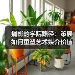 摄影的学院路径:策展如何重塑艺术媒介价值?(图3) 摄影的学院路径:策展如何重塑艺术媒介价值?(图3)