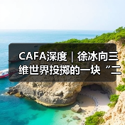CAFA深度|徐冰向三维世界投掷的一块“二向箔”(图3) CAFA深度|徐冰向三维世界投掷的一块“二向箔”(图3)