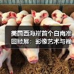 美国西海岸首个白南准回顾展:影像艺术与禅意的视觉解构(图2) 美国西海岸首个白南准回顾展:影像艺术与禅意的视觉解构(图2)