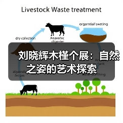 刘晓辉木槿个展:自然之姿的艺术探索(图2) 刘晓辉木槿个展:自然之姿的艺术探索(图2)