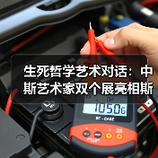 生死哲学艺术对话:中斯艺术家双个展亮相斯洛文尼亚(图3) 生死哲学艺术对话:中斯艺术家双个展亮相斯洛文尼亚(图3)