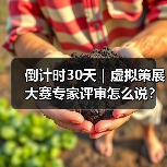 倒计时30天｜虚拟策展大赛专家评审怎么说？（图3）