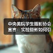 中央美院学生摄影协会宣言：实验摄影如何引发争议与前卫思潮？（图4）