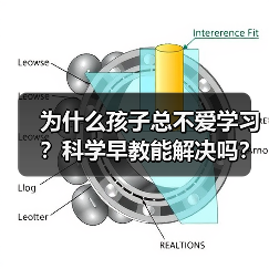 为什么孩子总不爱学习?科学早教能解决吗?(图2) 为什么孩子总不爱学习?科学早教能解决吗?(图2)