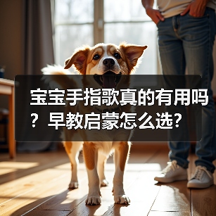宝宝手指歌真的有用吗?早教启蒙怎么选?(图2) 宝宝手指歌真的有用吗?早教启蒙怎么选?(图2)
