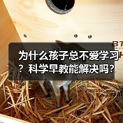 为什么孩子总不爱学习?科学早教能解决吗?(图4) 为什么孩子总不爱学习?科学早教能解决吗?(图4)