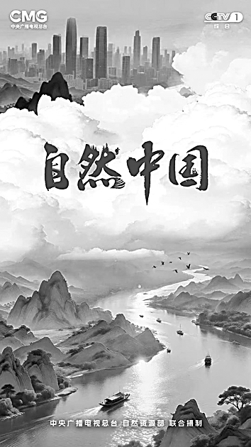 2025年纪录片：在变革中坚守真实底色