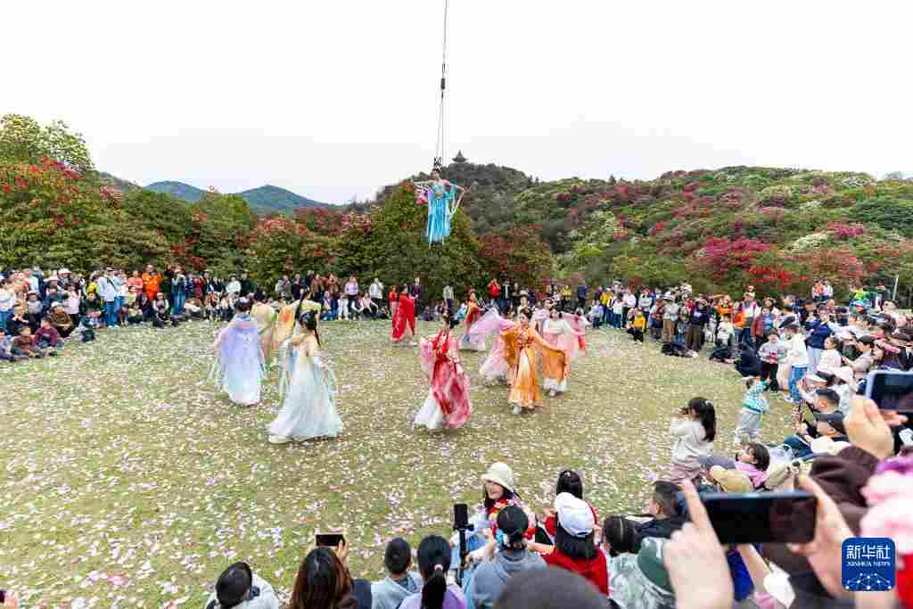 几日春风又春雨 杜鹃依旧映山红 贵州百里杜鹃盛花期绽放美丽经济新活力