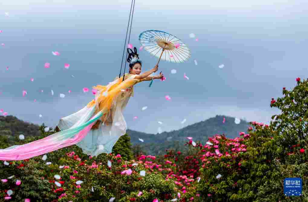 几日春风又春雨 杜鹃依旧映山红 贵州百里杜鹃盛花期绽放美丽经济新活力