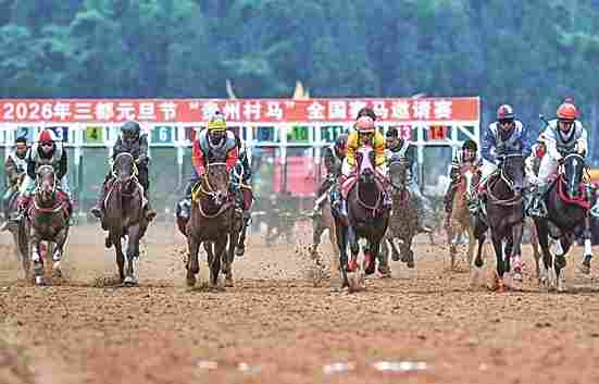 【大调研，我们在行动】说说贵州这些“村字号”